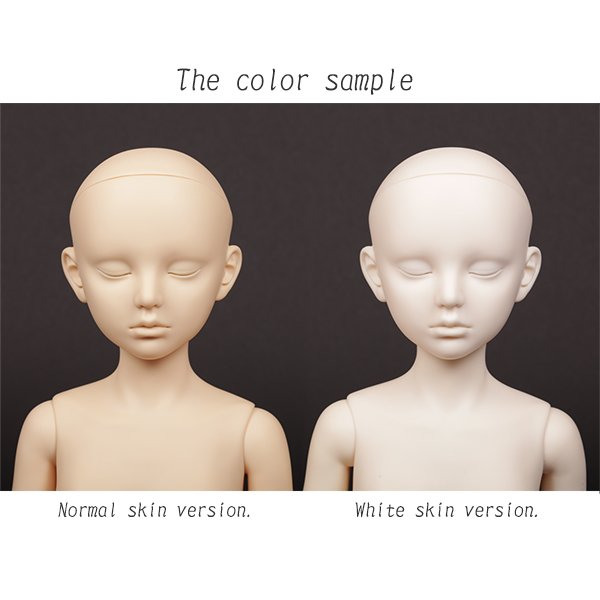 Photo18: Alice / AiL Dolls - Assembled