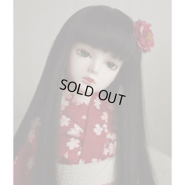 Photo8: Aya/AiL Dolls mini - Assembled