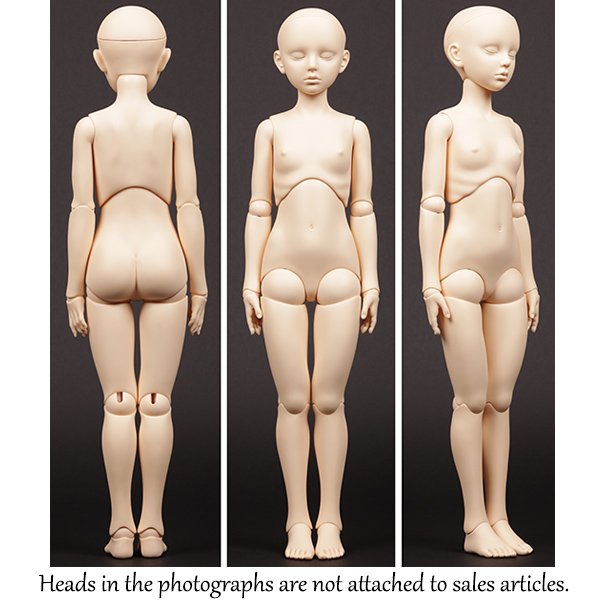 Photo2: AiL Dolls Body - Assembled 