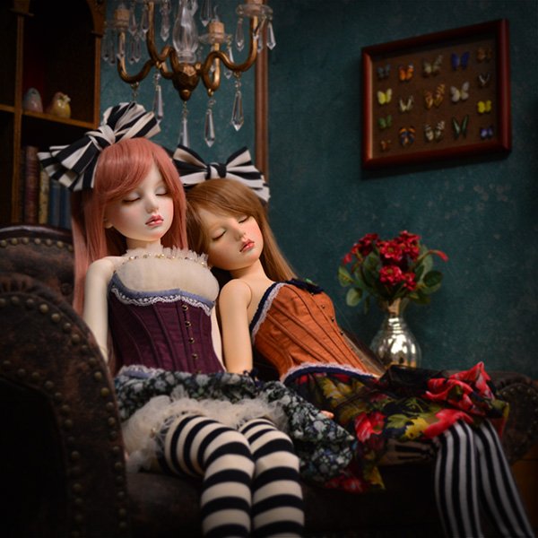 Photo12: Alice(Dreaming ver.) / AiL Dolls - Assembled