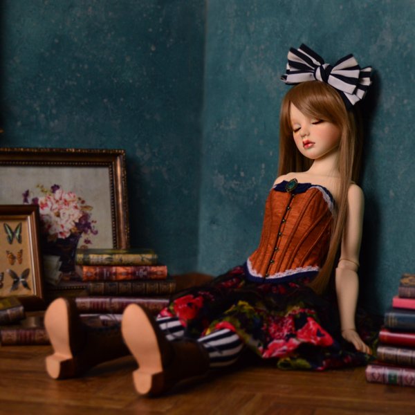 Photo5: Alice(Dreaming ver.) / AiL Dolls - Assembled