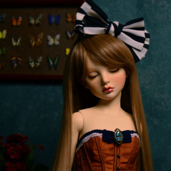 Photo3: Alice(Dreaming ver.) / AiL Dolls - Assembled
