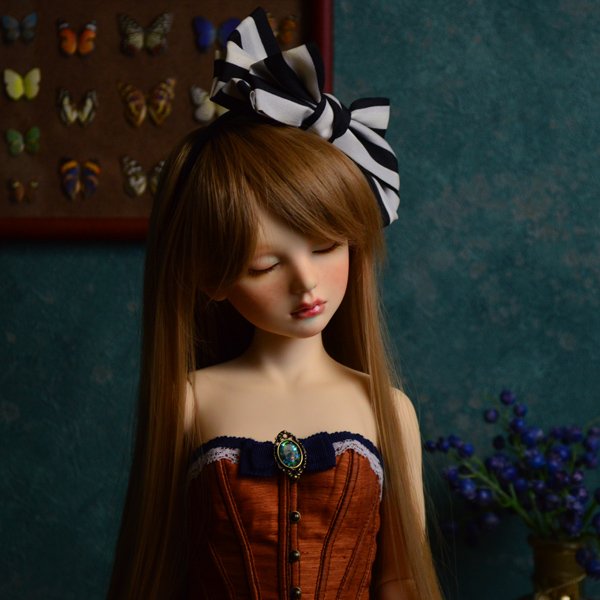 Photo2: Alice(Dreaming ver.) / AiL Dolls - Assembled